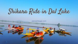 Dal Lake